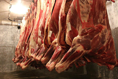 Whole Bulk Beef Order Grass Fed/Grain Finished - DEPOSIT- 2025