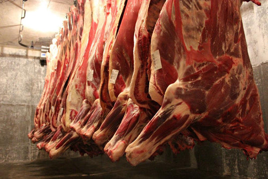 Whole Bulk Beef Order Grass Fed/Grain Finished - DEPOSIT- 2025