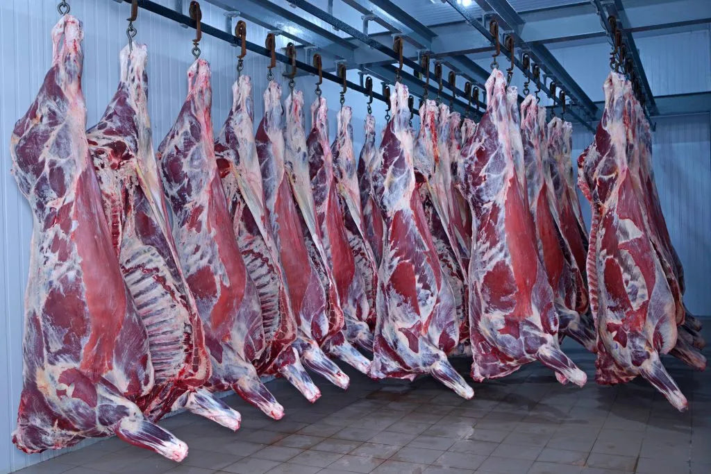 Whole Bulk Beef Order Grass Fed/Grain Finished - DEPOSIT- 2025